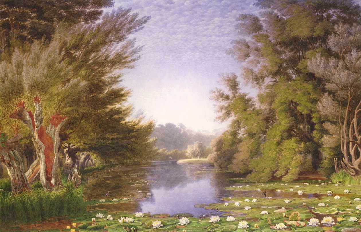 Lekníny na Cherwell od Joseph Mallord William Turner
