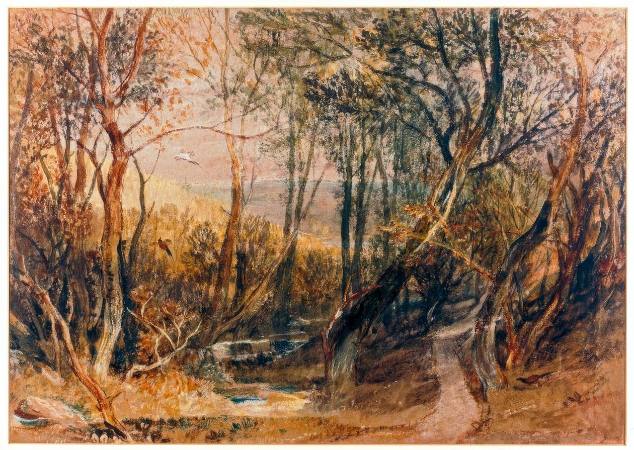 Lesní scéna od Joseph Mallord William Turner