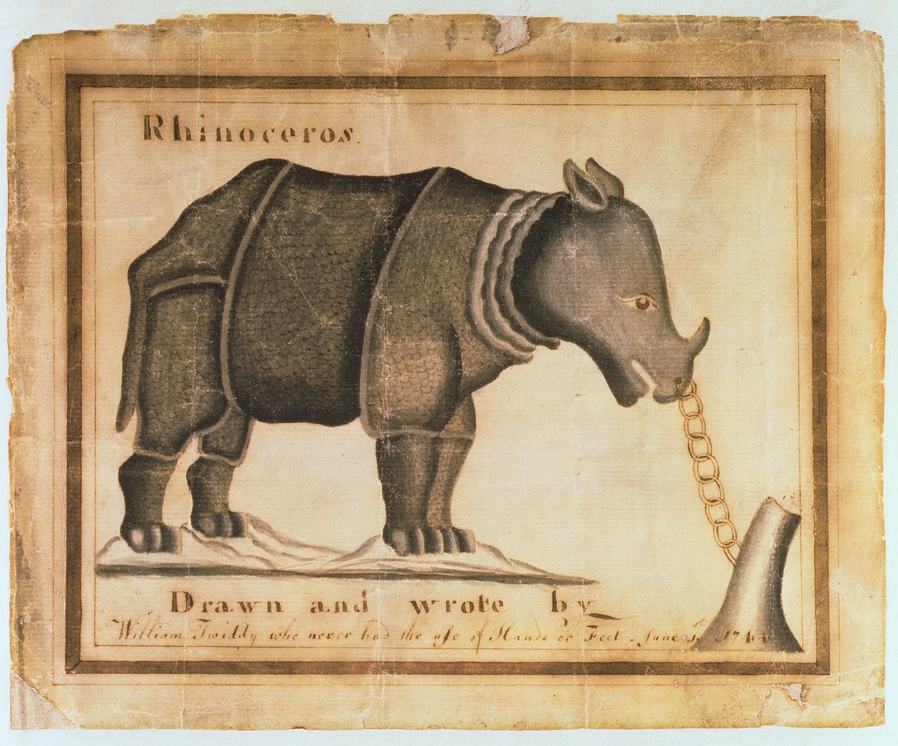Nosorožec, nakreslil a napsal William Twiddy, který nikdy nepoužil ruce ani nohy, 1. června 1744 (wc na papíře) od William Twiddy