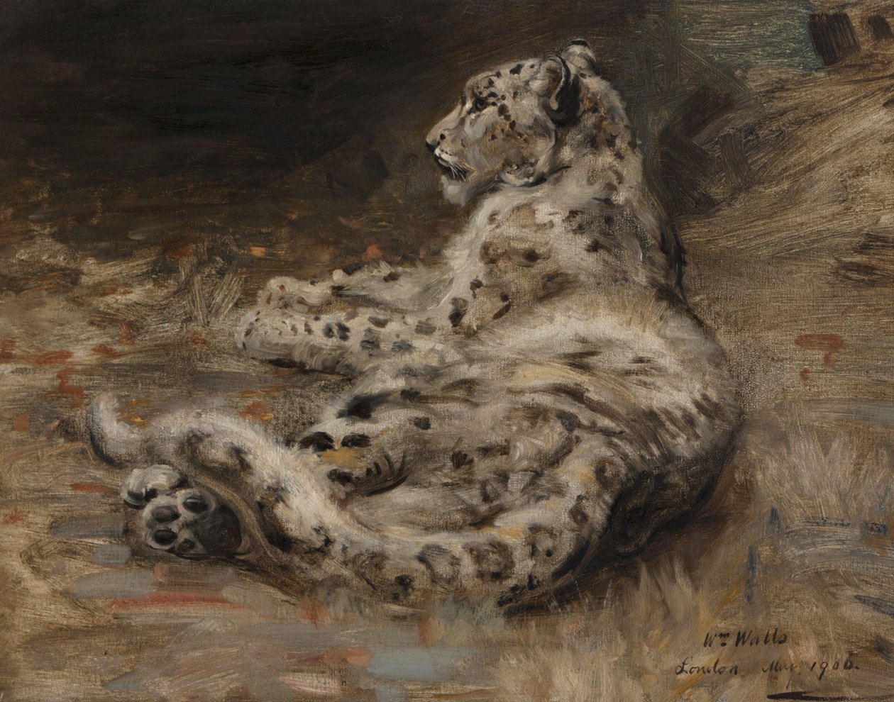 Leopard, 1906 od William Walls
