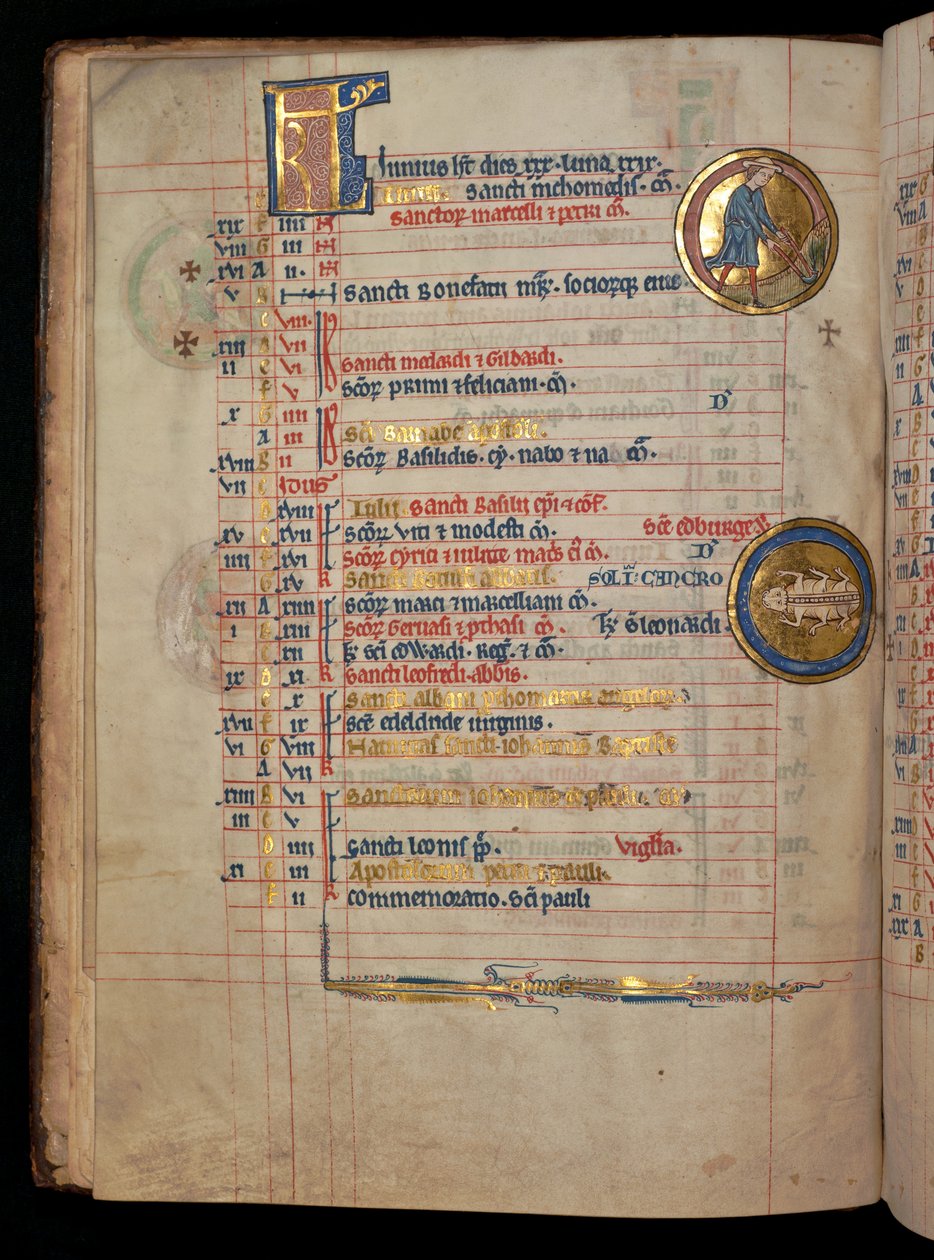 Ms 322 f.3v, červen, muž pleje, ilustrace z "De Brailes Psalter", asi 1250 od William de Brailes  