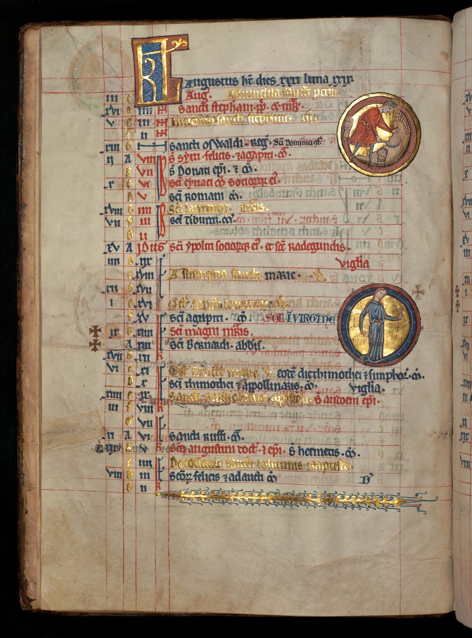 Ms 322 f.4v, August, muž krájející kukuřici, ilustrace z 