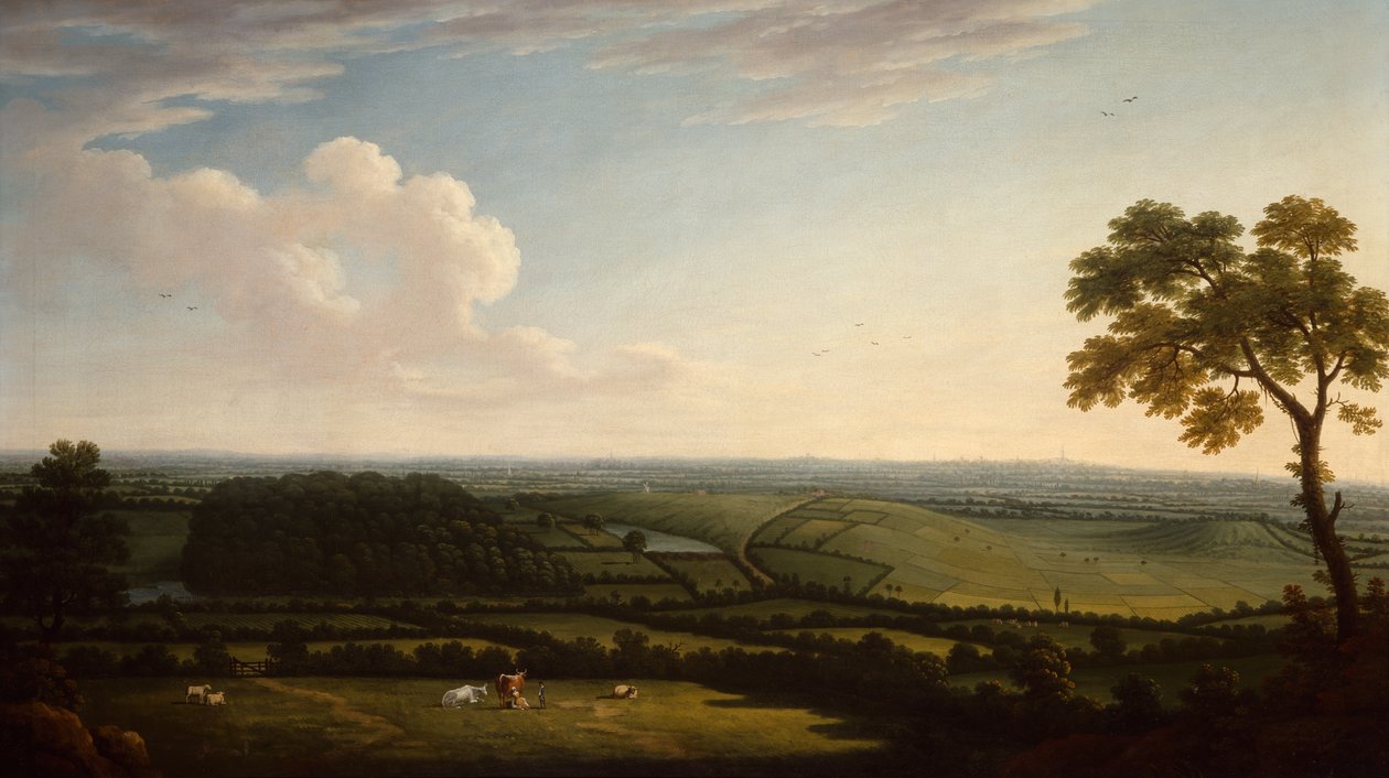 Rozsáhlá zalesněná krajina s výhledem do dálky na město (ropa) od Joseph Mallord William Turner