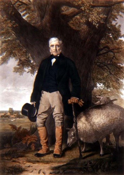 Portrét Samuela Wileyho s drahými ovečkami, vyryl J. Andrews od William (after) Hay