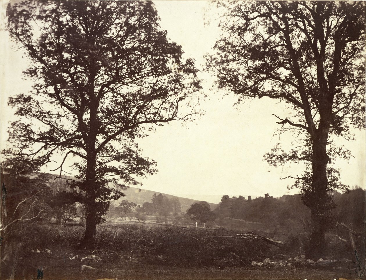 Krajina s jilmy, Ashdown, Velká Británie od William 2nd Earl of Craven
