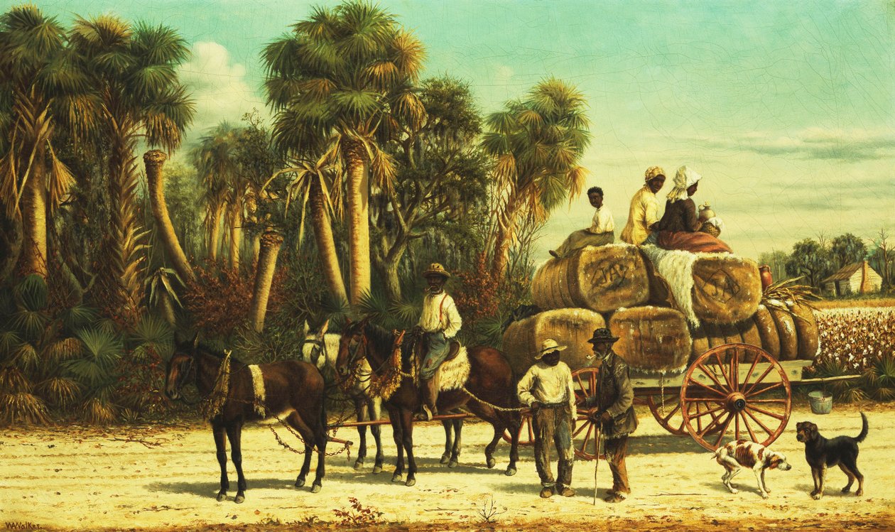 Vůz na bavlnu, od William Aiken Walker