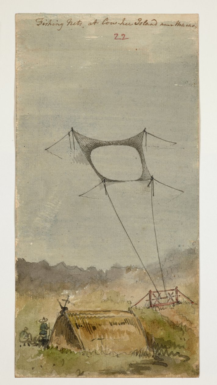 WD 961 f.22 od William Alexander