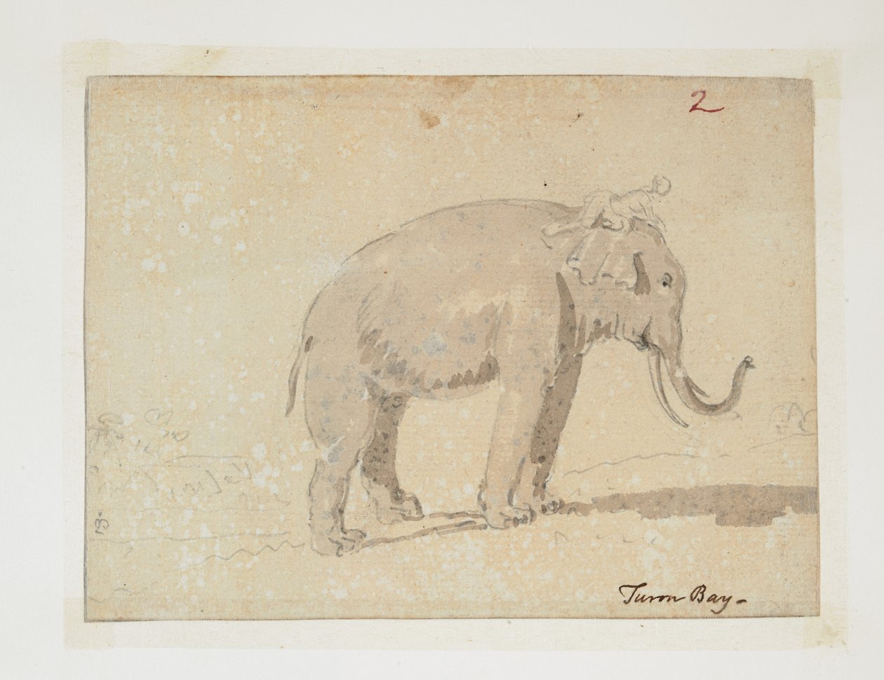 WD 961 f.2 od William Alexander