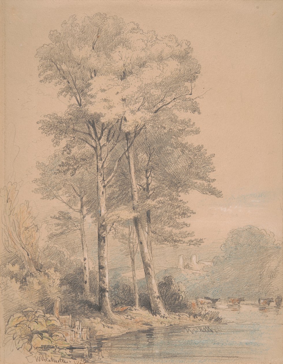 Hrad Llandovery, Jižní Wales od William Alfred Delamotte