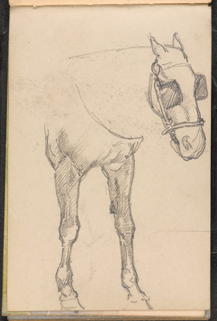 Náčrt koně s blinkry, cca 1879 od William Barnes Wollen