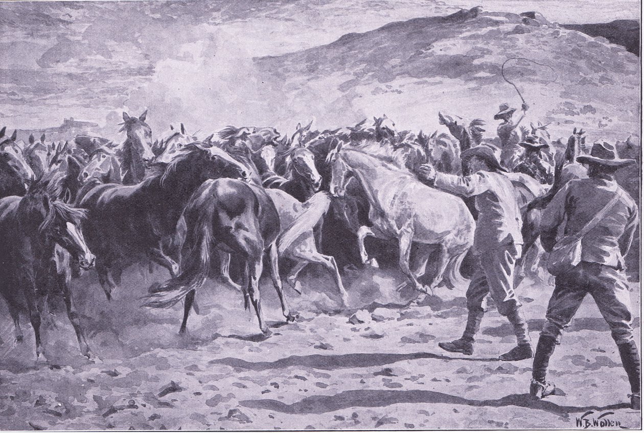 Zajetí koní v okrese Brandwater poblíž Fouriesburgu: zaokrouhlení nájezdu, ilustrace z Po Pretorii: Guerilla War, 1902 od William Barnes Wollen