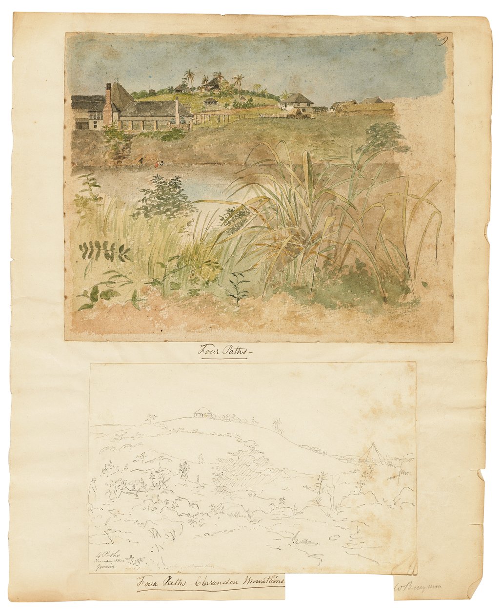 Four Paths, Clarendon Mountains, Jamajka od William Berryman