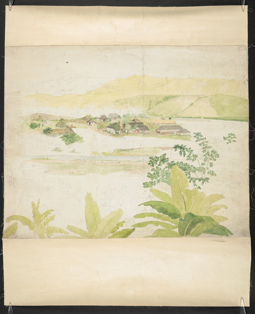 Akvarel kresba Lucky Valley Estate, Clarendon, Jamajka od William Berryman