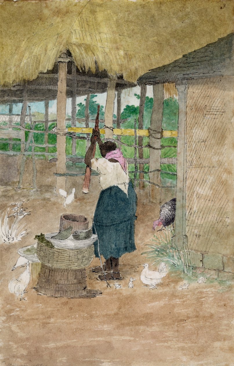Žena bijící maniok, Jamajka od Williama Berrymana, působícího na Jamajce v období 1808-1816. od William Berryman
