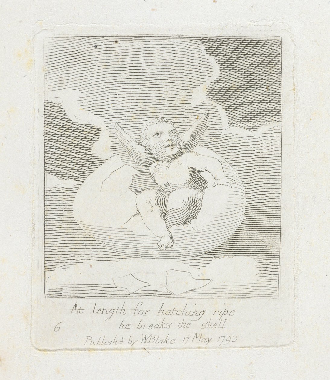 At Length for Hatching Ripe He Breaks the Shell, plate 8 from 