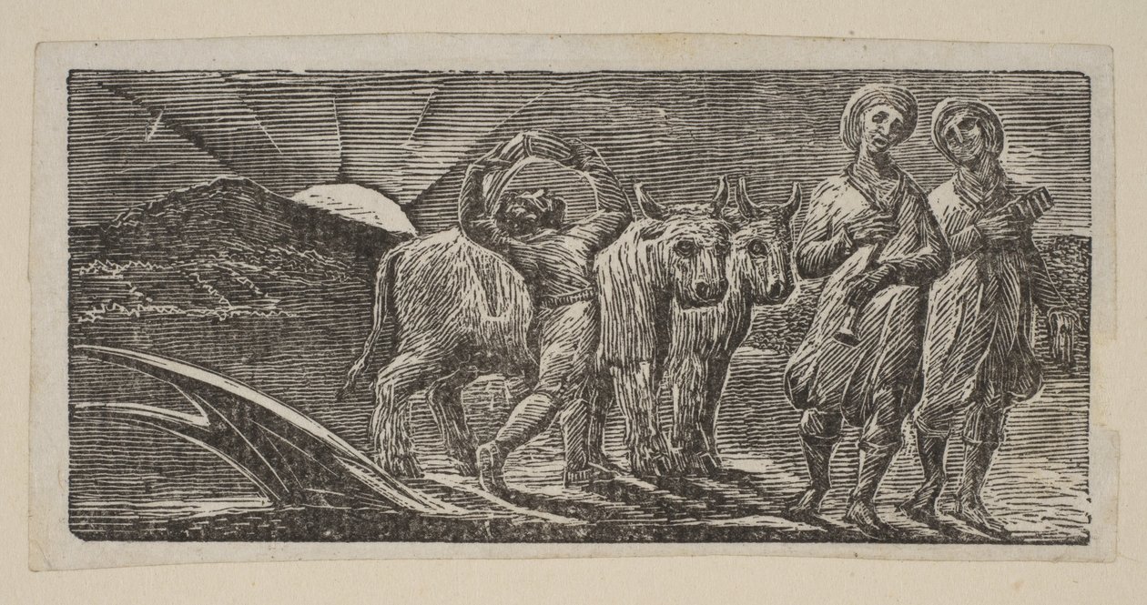 Chlapec se radostně vrací s pluhem a voly z Thorntonových pastorálů z Virgila, 1821. od William Blake