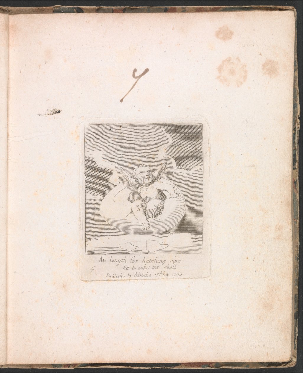 Pro děti. Brány ráje, talíř 8, na délku pro vylíhnutí zralý láme skořápku od William Blake