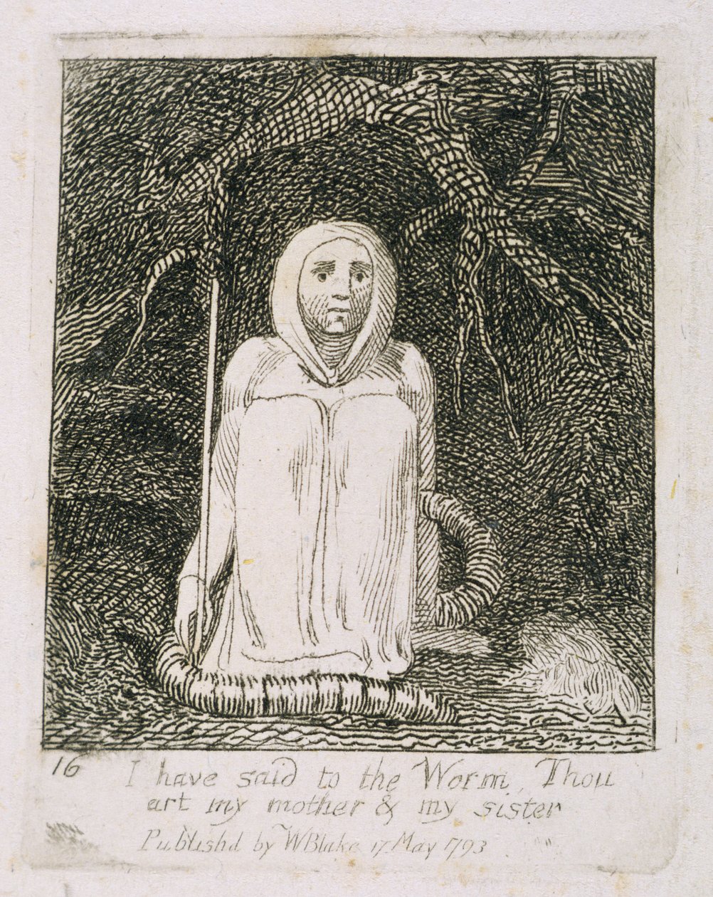 Řekl jsem červovi, jsi moje matka a moje sestra, deska 17 z „Pro děti“. Brány ráje, 1793 od William Blake