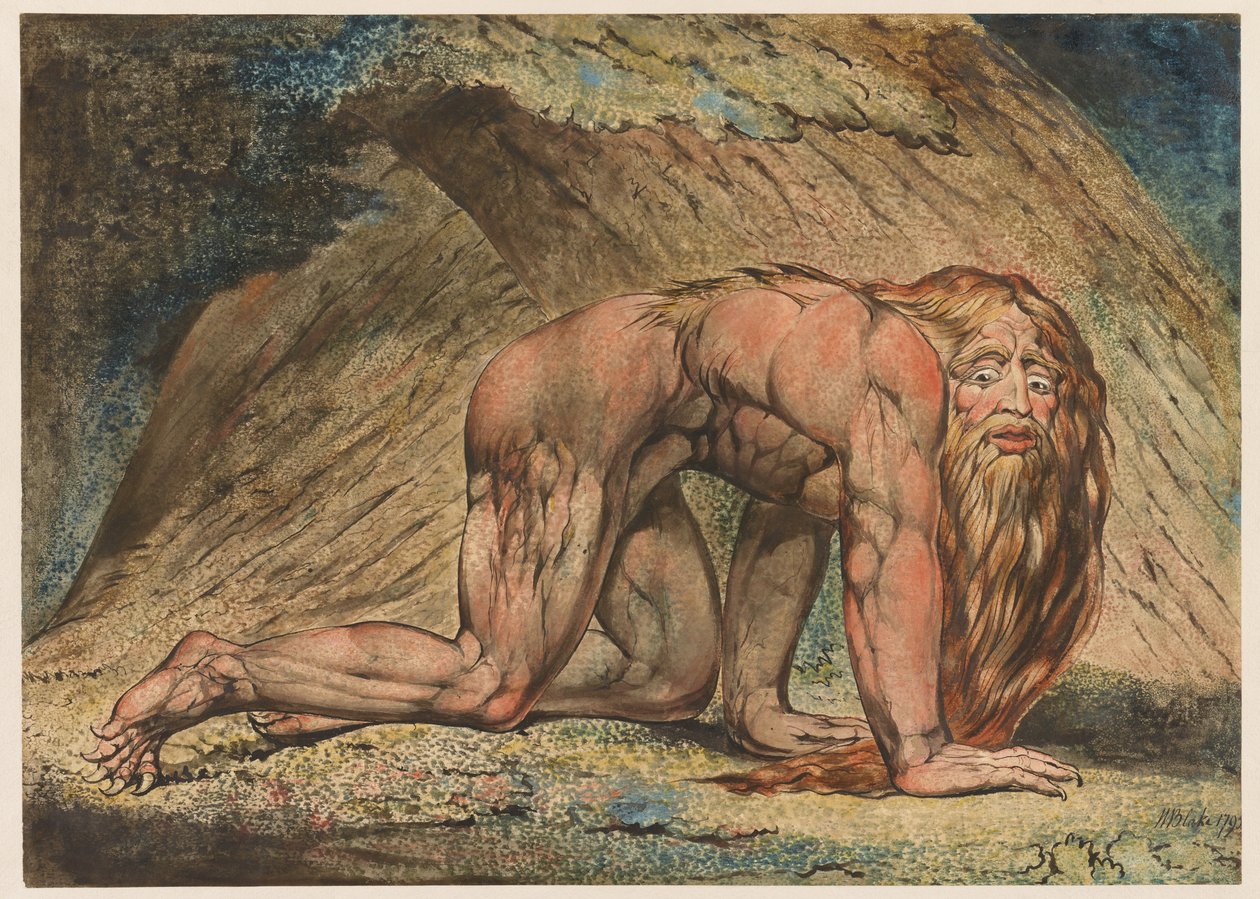 Nabukadnezar, 1795 (tempera, pero a inkoust a wc na papíře) od William Blake