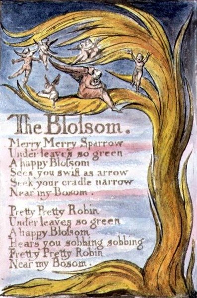 S.124-1950.pt10 The Blossom: plate 10 from Songs of Innocence and of Experience (kopie R) c.1802-08 (lept, inkoust a akvarel) od William Blake