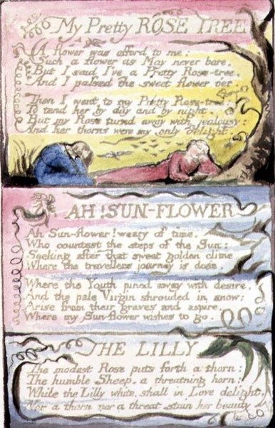 S.124-1950.pt44 My Pretty Rose Tree; Ach! Slunečnice; The Lilly: deska 44 z 