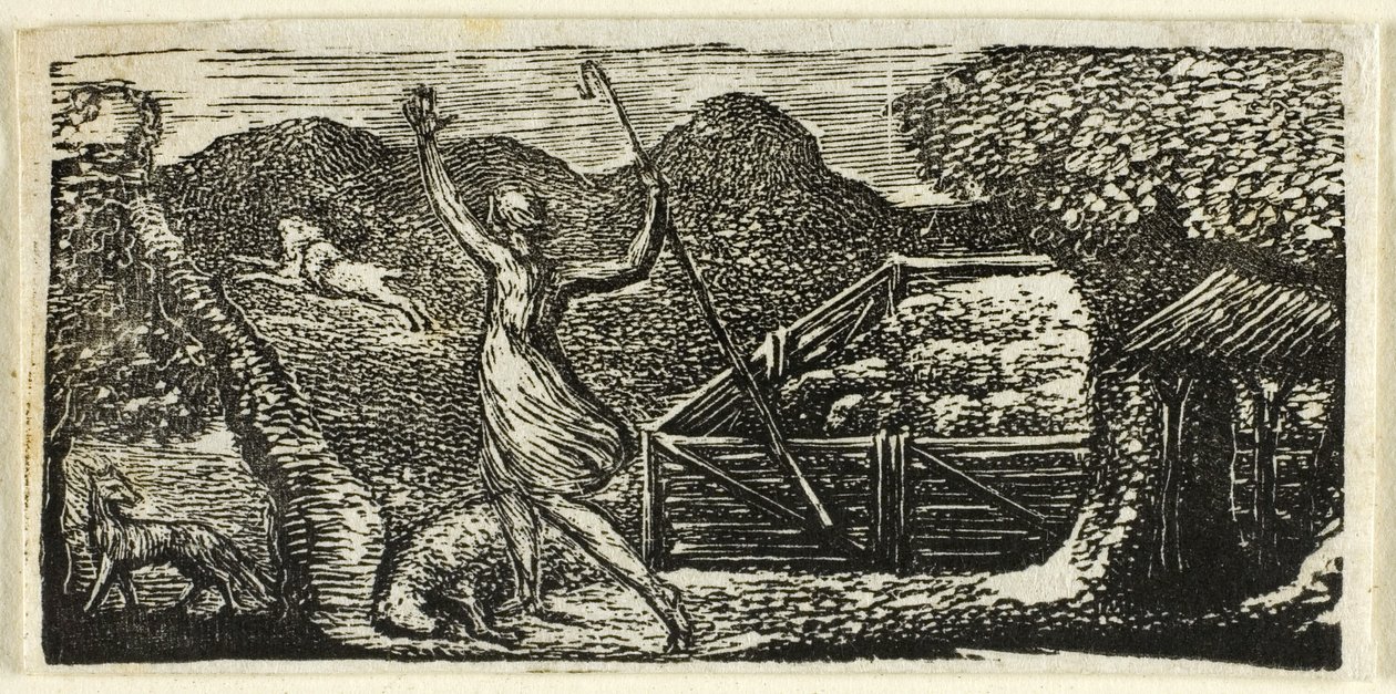 Pastýř zahání vlka z Virgilových pastýřů od William Blake
