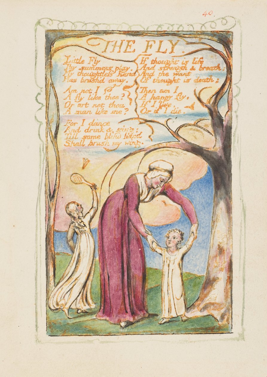Lieder der Erfahrung: Die Fliege od William Blake