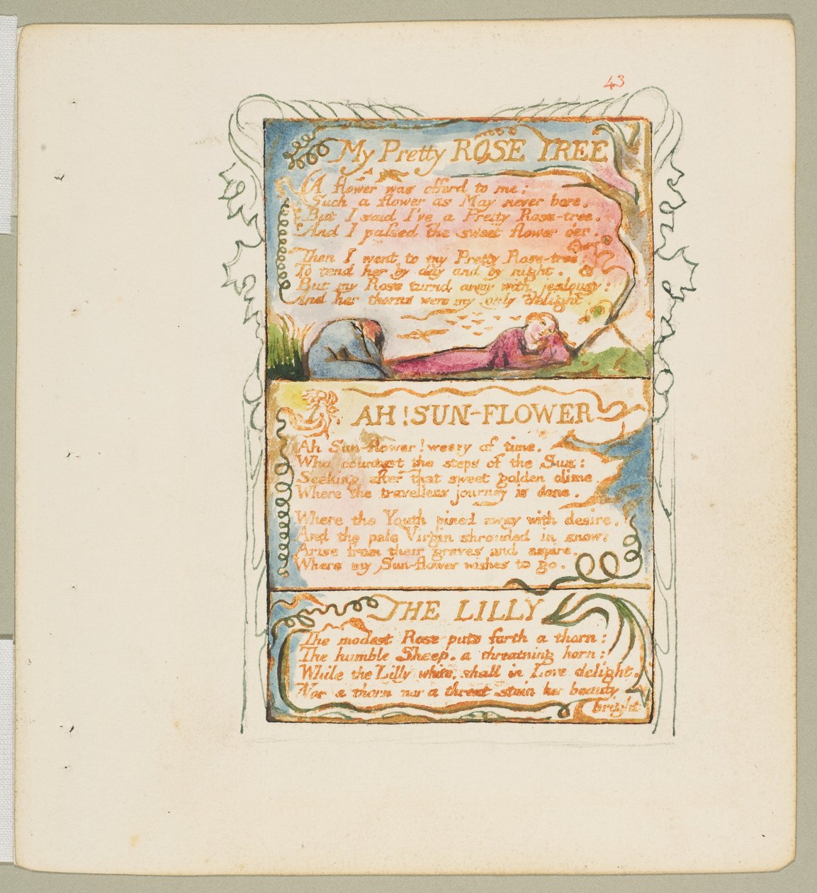 Songs of Innocence and of Experience: My Pretty Rose Tree, Ah! Sun-Flower, The Lily, ca. 1825. od William Blake
