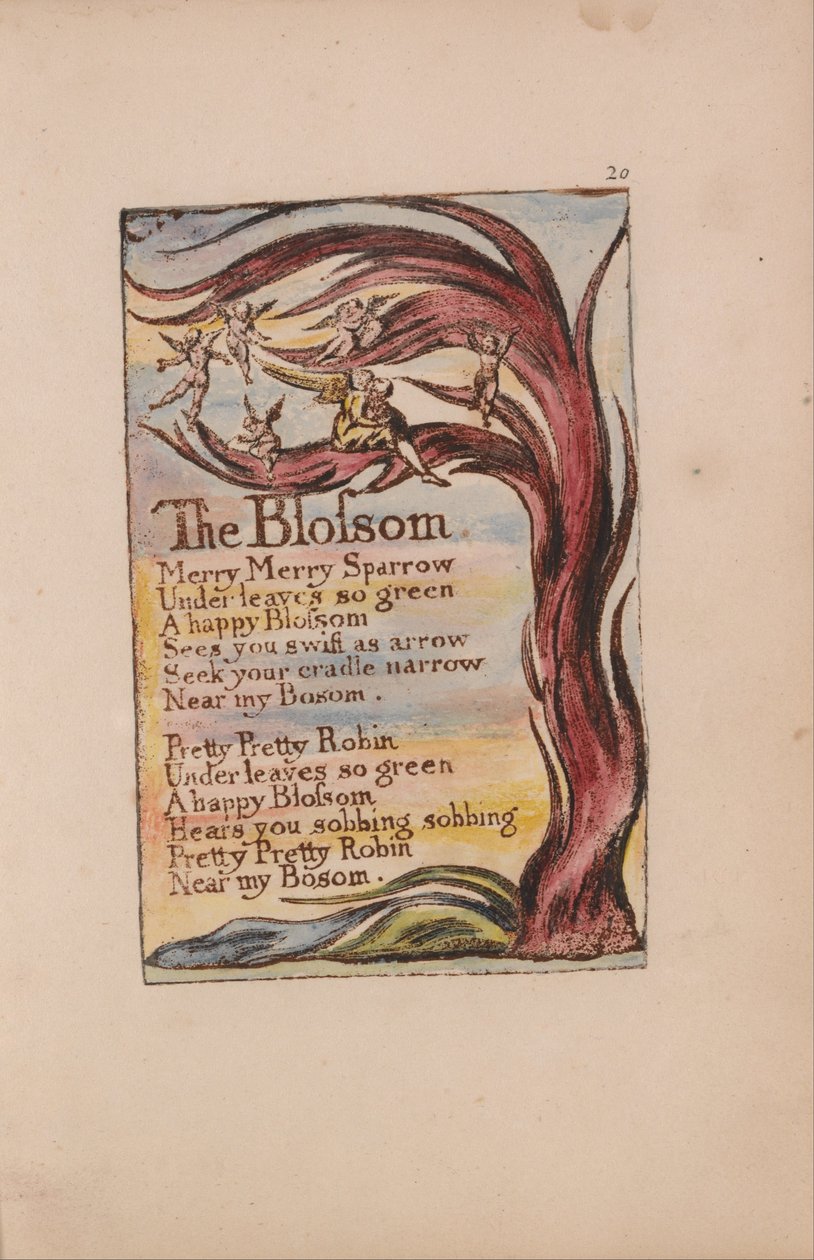 Písně nevinnosti a zkušeností, deska 20, květ (Bentley 11) od William Blake