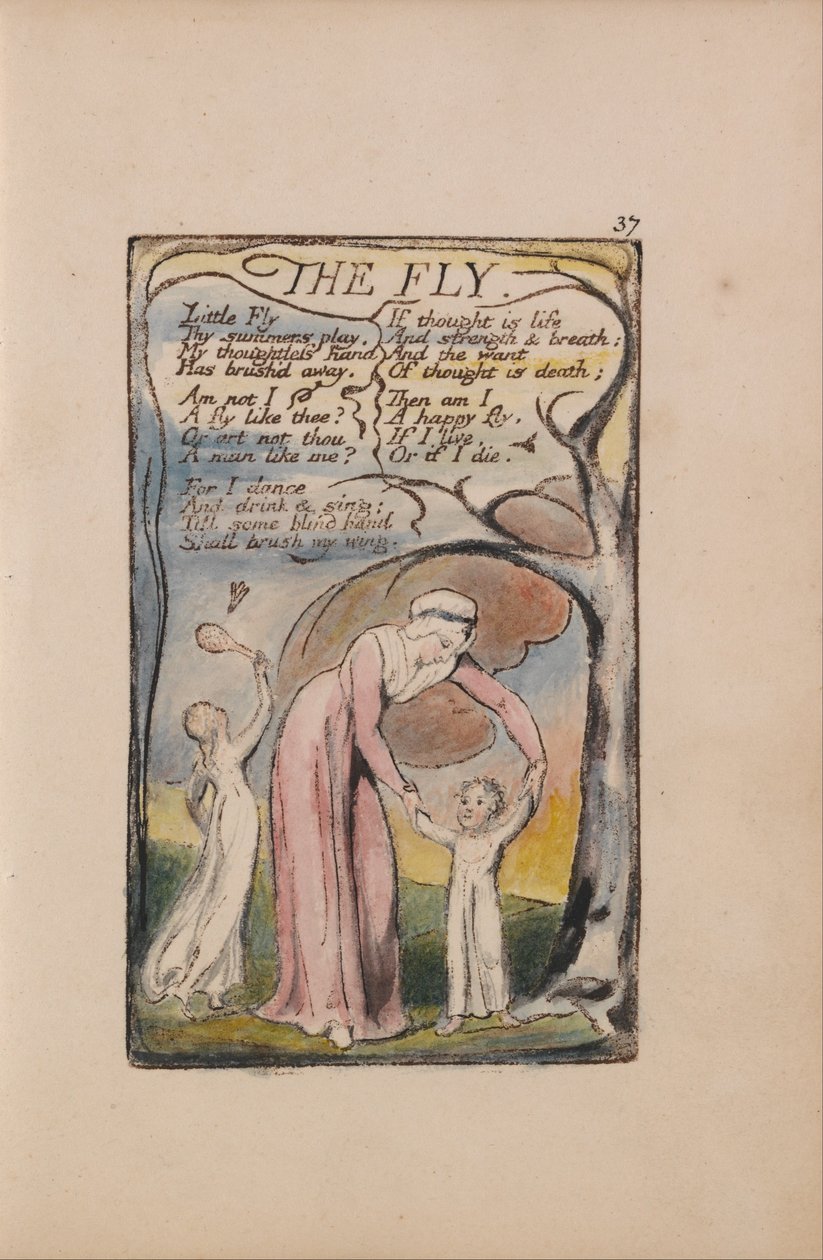 Songs of Innocence and of Experience, Plate 37, The Fly (Bentley 40) od William Blake