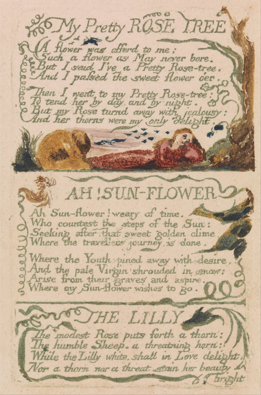 Písně nevinnosti a zkušeností, deska 47, My Pretty Rose Tree (Bentley 43) od William Blake