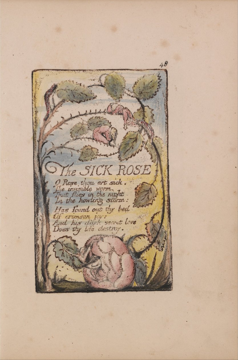 Songs of Innocence and of Experience, Plate 48, The Sick Rose (Bentley 39) od William Blake