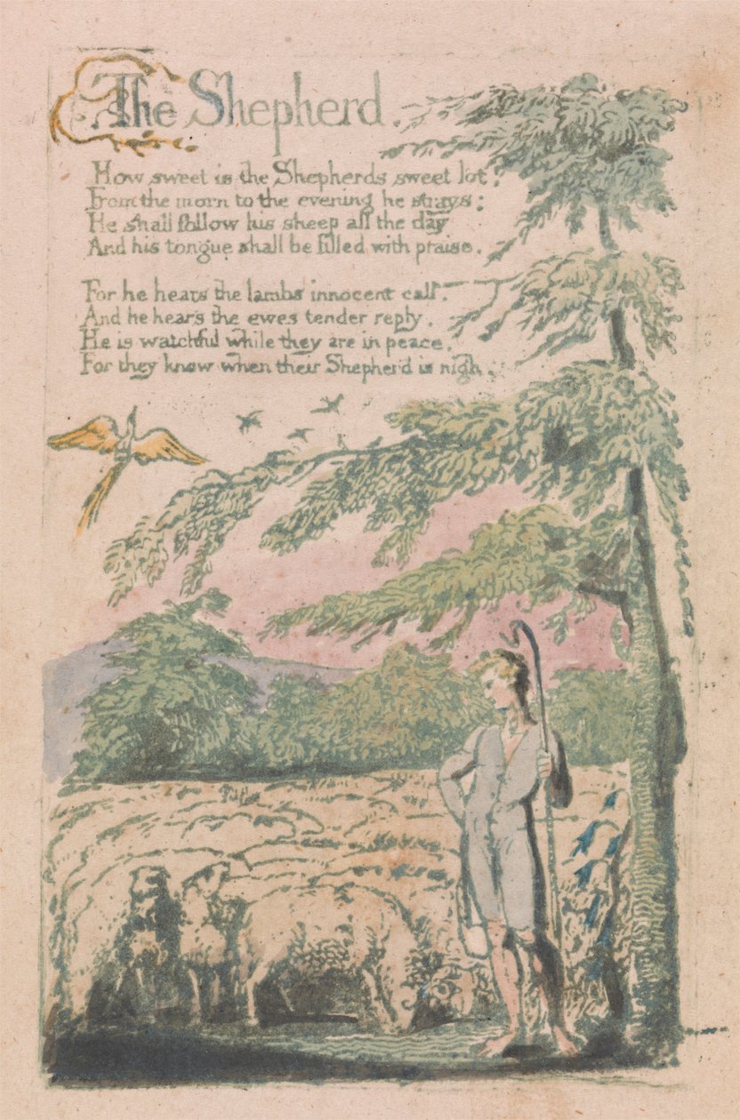 Songs of Innocence and of Experience, deska 4, "The Shepherd" (Bentley 5) od William Blake