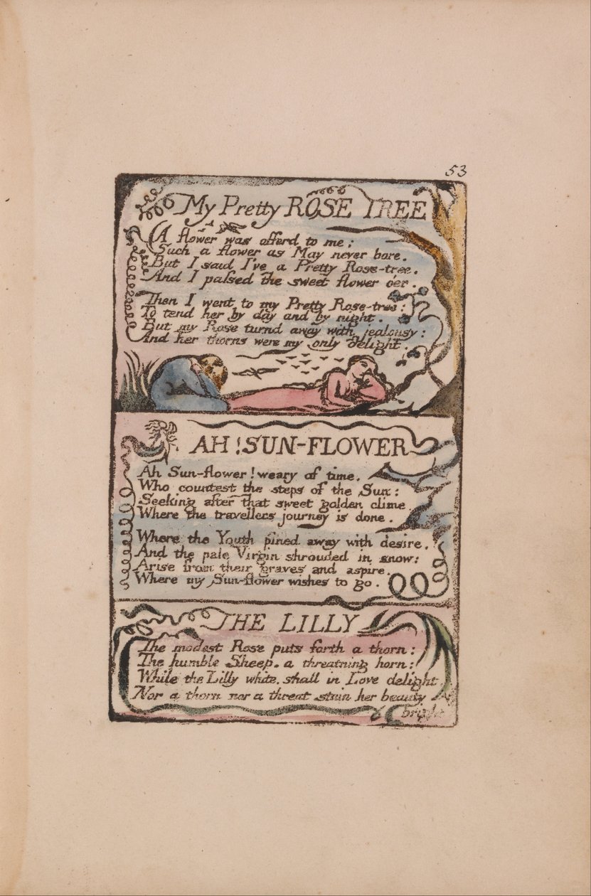 Písně nevinnosti a zkušeností, deska 53, My Pretty Rose Tree, Ah! Slunečnice, Lilly od William Blake