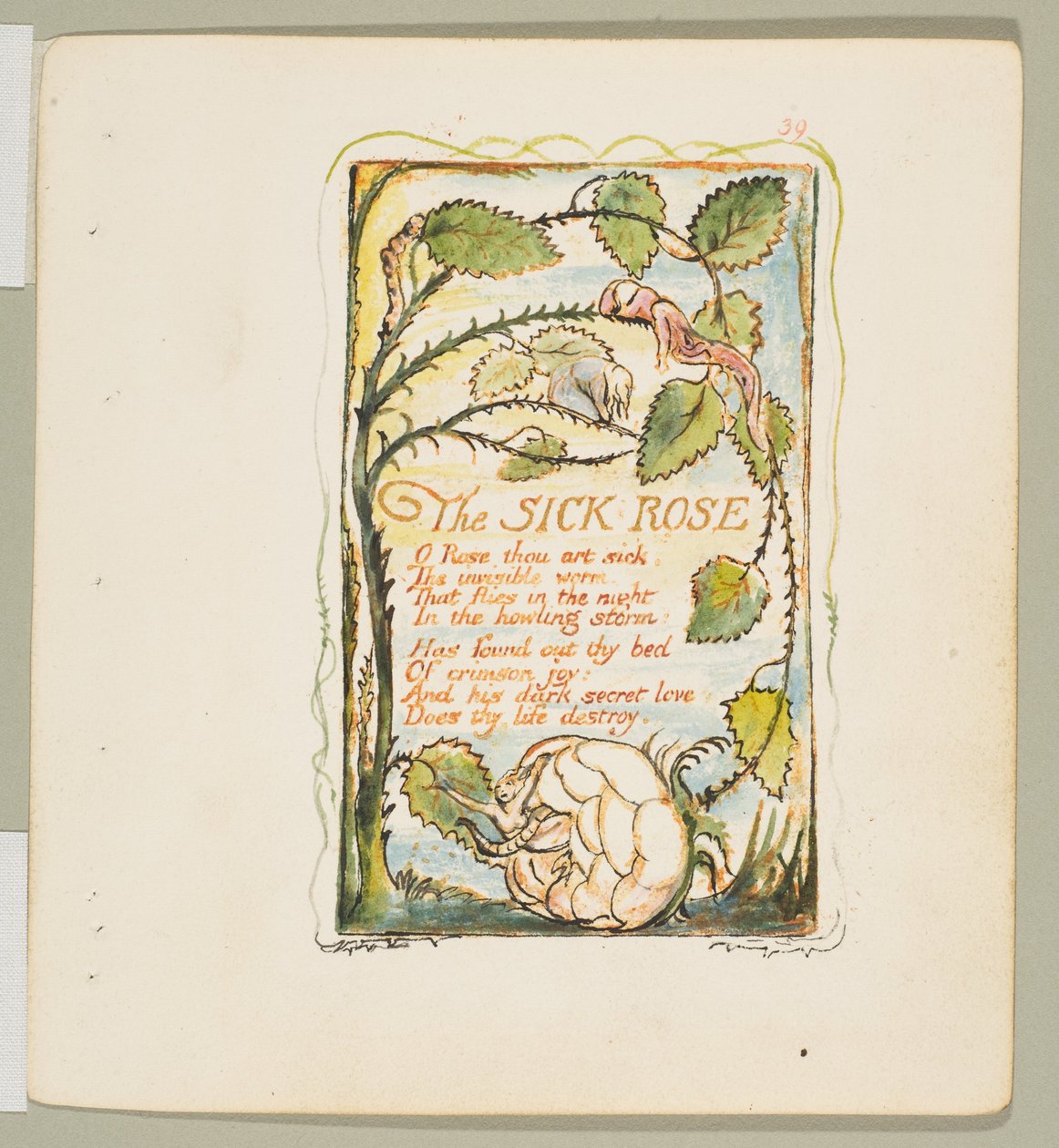 Songs of Innocence and of Experience: The Sick Rose, ca. 1825. od William Blake