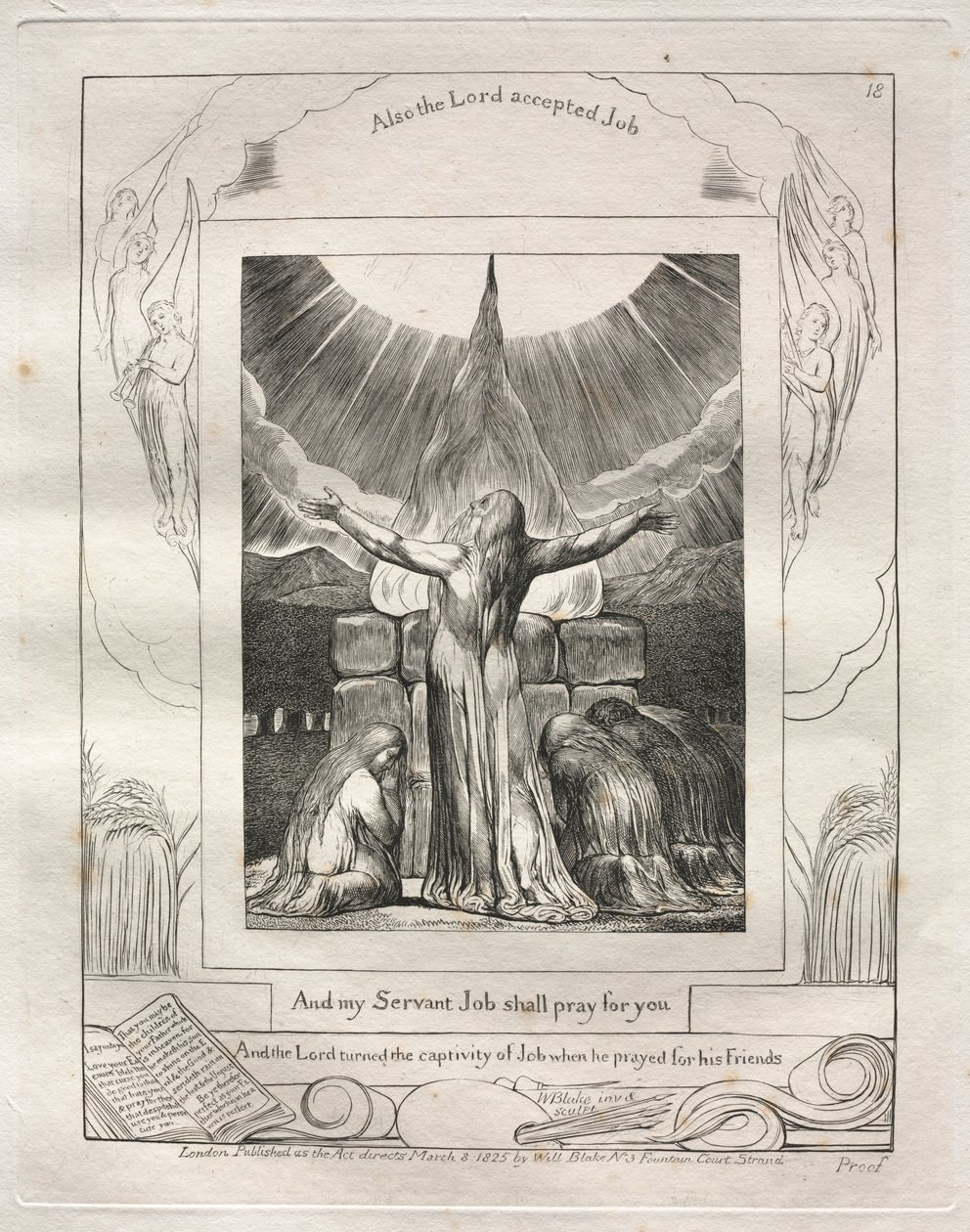 Kniha Job: Pl. 18 A můj služebník Job se bude za tebe modlit od William Blake