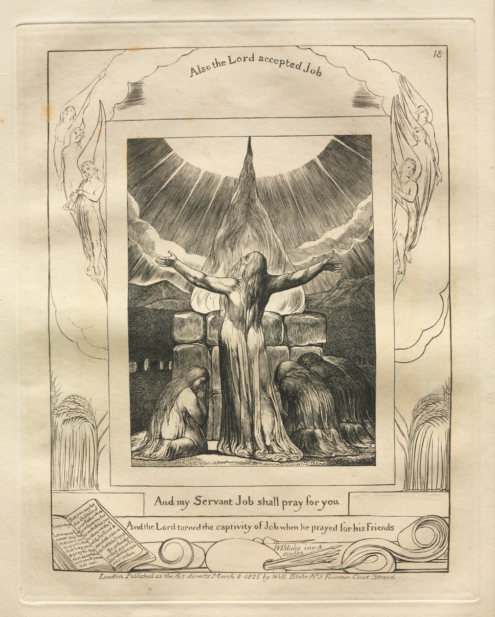 Kniha Job: Pl. 18 A můj služebník Job se bude za tebe modlit od William Blake