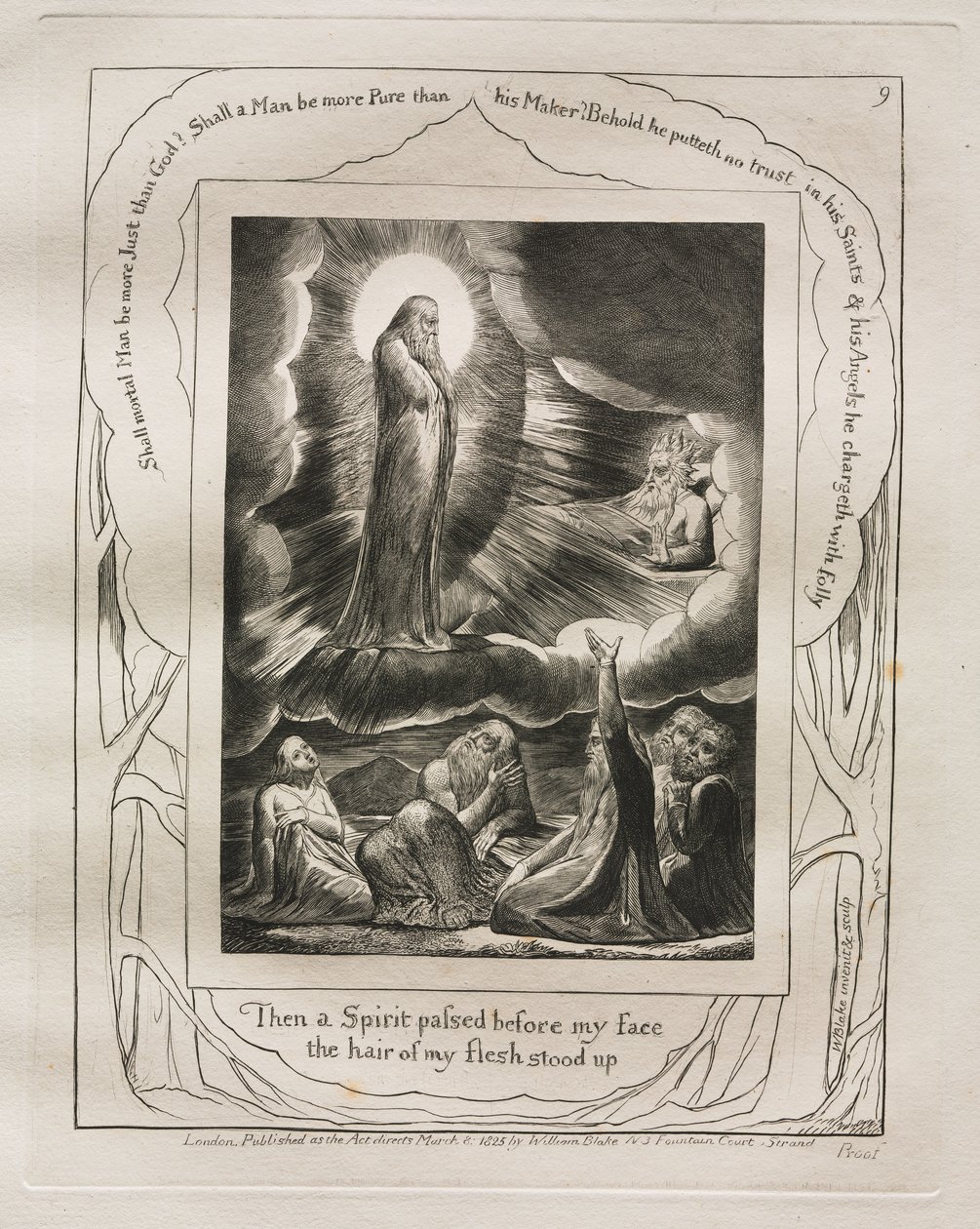 Kniha Job: Pl. 9, Tehdy mi před tváří prošel Duch / vstávaly vlasy z mého těla od William Blake