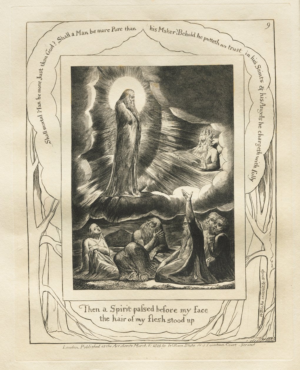 Kniha Job: Pl. 9, Tehdy před mou tváří prošel Duch / vstávaly vlasy z mého těla od William Blake