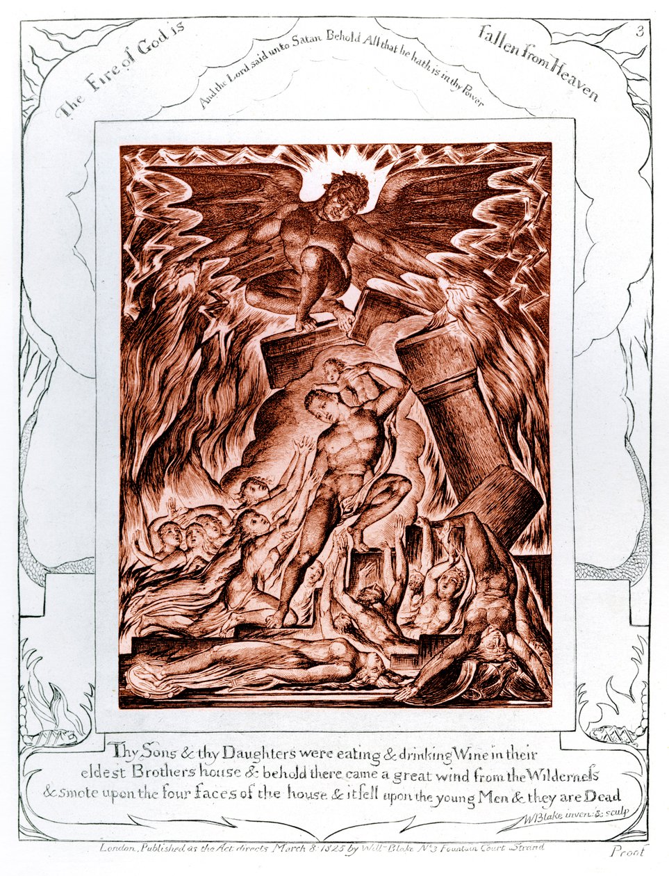 Ilustrace The Book of Job od Williama Blakea od William Blake