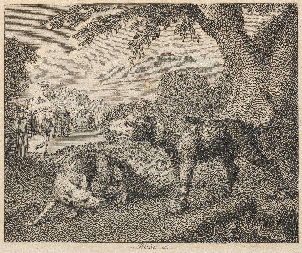Pes a liška od William Blake