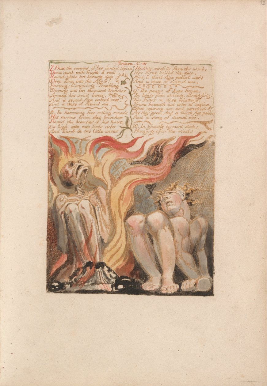 První kniha Urizena, talíř 14, 7. Z jeskyní jeho kloubové páteře ... (Bentley 11) od William Blake