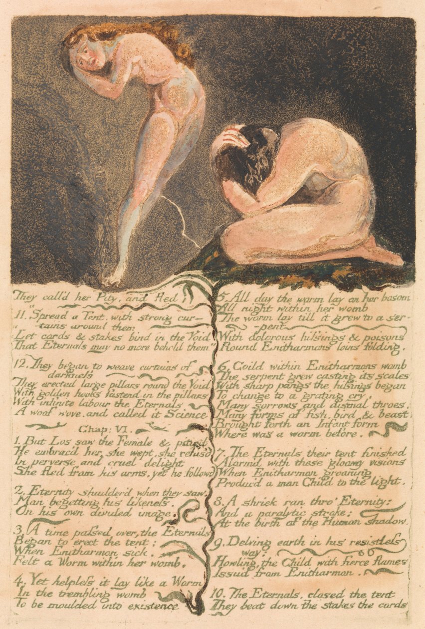 První kniha Urizen, talíř 17, Říkali jí Lítost a uprchli. . . . (Bentley 19) od William Blake