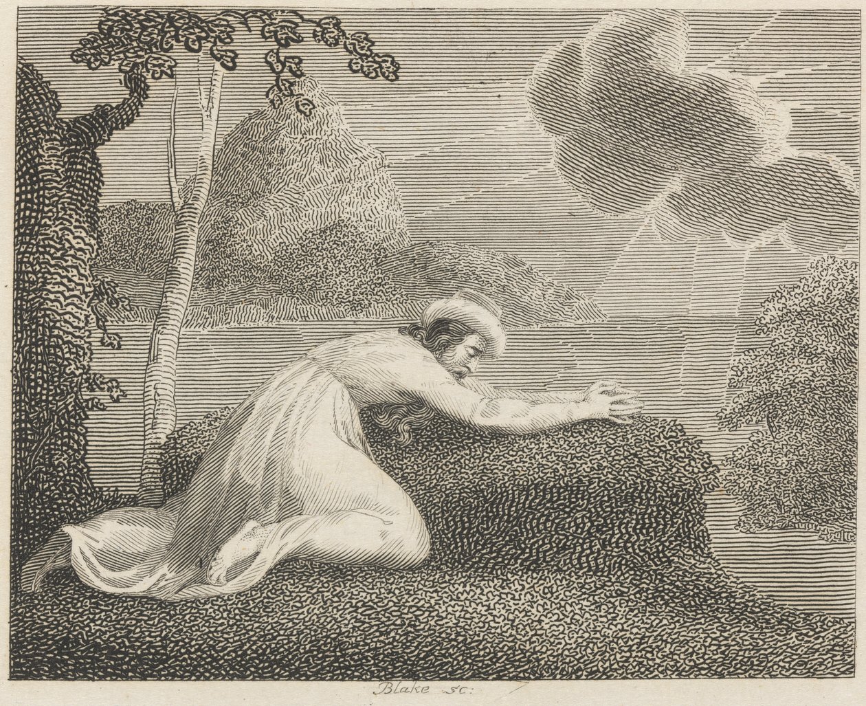 Peršan, Slunce a mrak od William Blake
