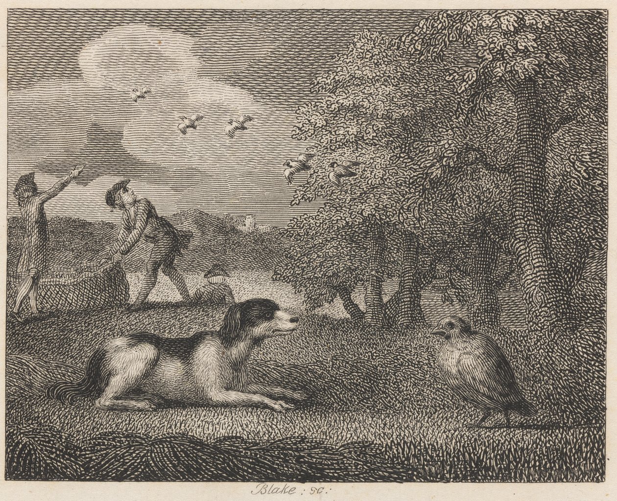 Stanový pes a koroptev od William Blake