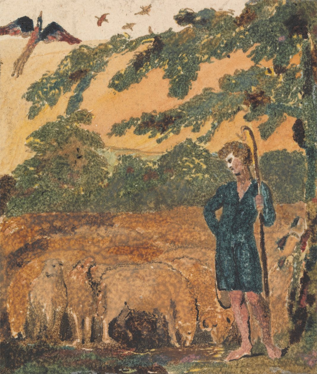 Ovčák, od Songs of Innocence od William Blake