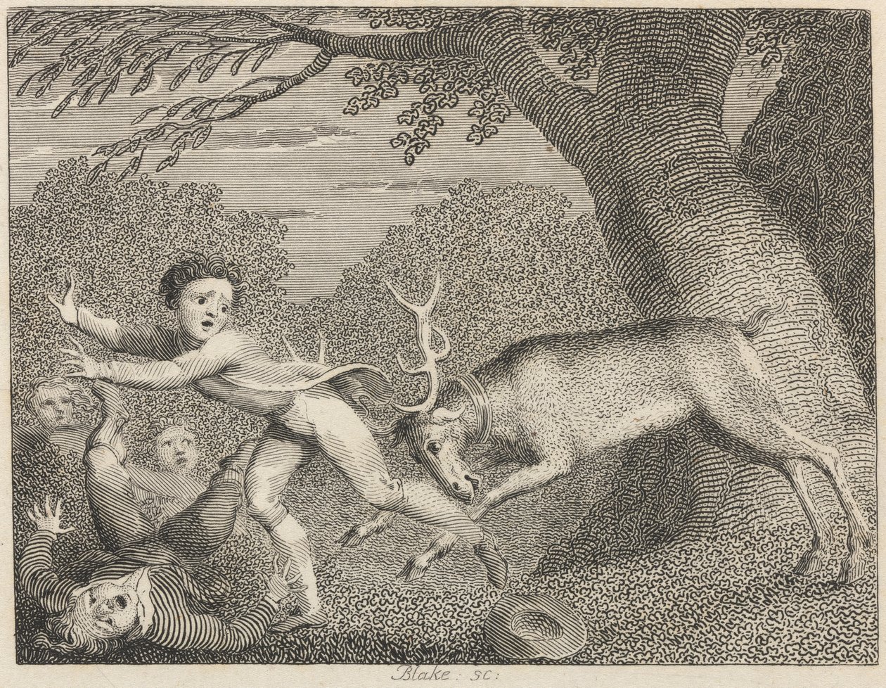 Krotký jelen od William Blake