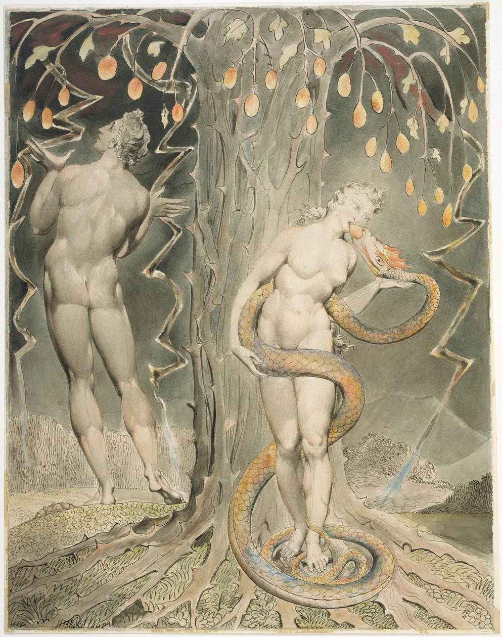 Pokušení a pád Evy (ilustrace k Miltonovu dílu „Ztracený ráj“) od William Blake
