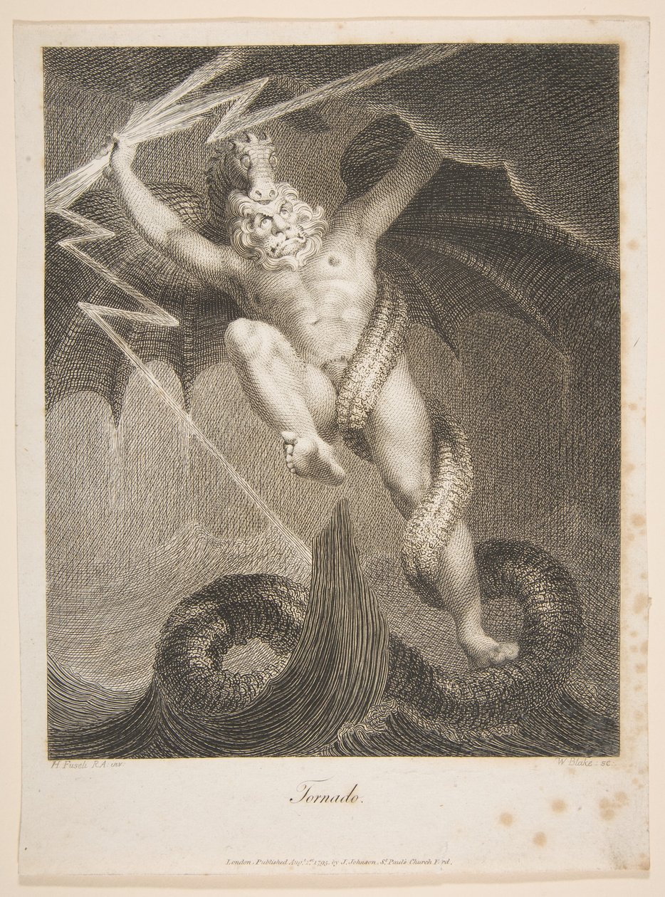 Tornado-Zeus Battleing Typhon Erasmus Darwin, Botanická zahrada, 1. srpna 1795. od William Blake