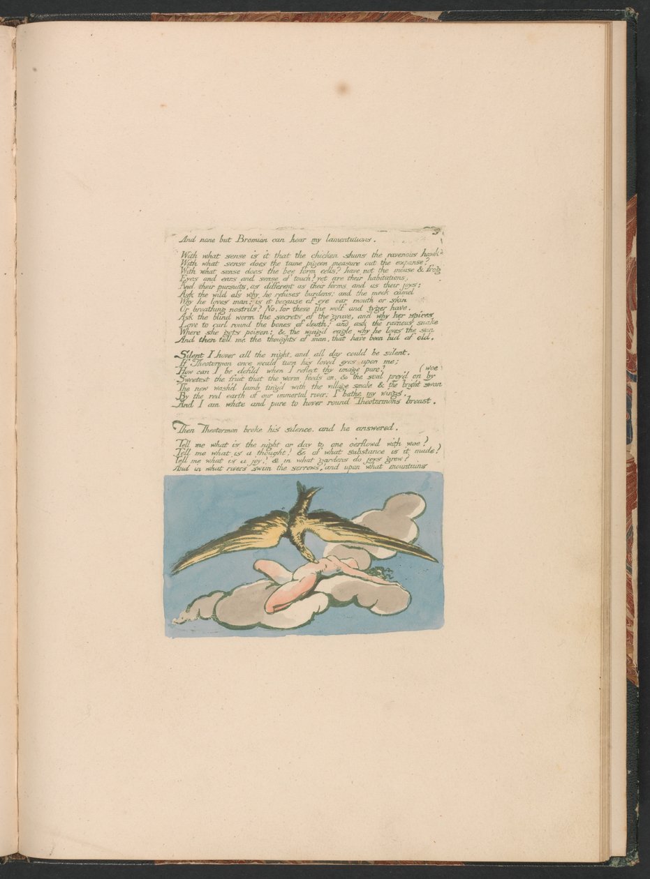 Vize dcer Albionu, talíř 6 a nikdo jiný než Bromian. . . . od William Blake